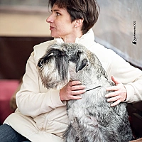 Schnauzer FAQ image