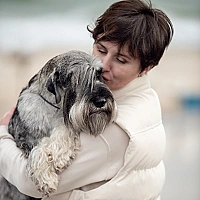 Schnauzer FAQ image